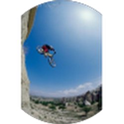 Profile photo of Tom Terenyi