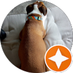 Profile photo of John Shannon