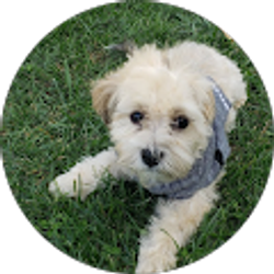 Profile photo of Virginia Brewer