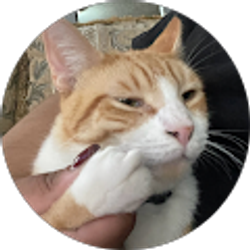 Profile photo of Ivan Galvan