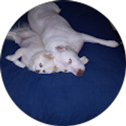 Profile photo of Leslie Cornay