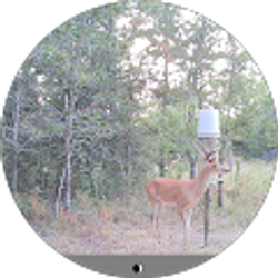 Profile photo of JUDY HESS