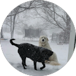 Profile photo of Ash J