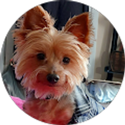 Profile photo of Bridget Bright