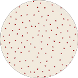 Profile photo of london scott-wells