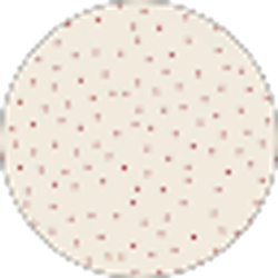 Profile photo of london scott-wells