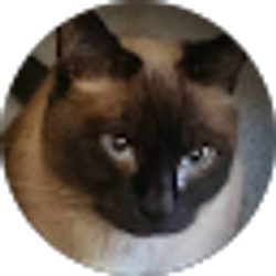 Profile photo of SARAH SATTERFIELD