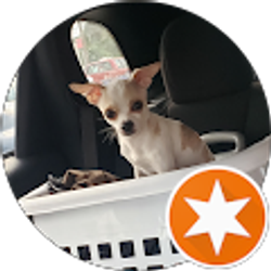 Profile photo of Janet Baltierra