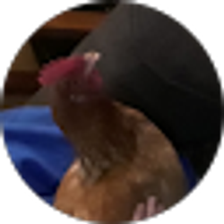 Profile photo of Lmole 1717