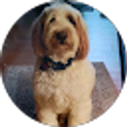 Profile photo of Marissa Mitchell