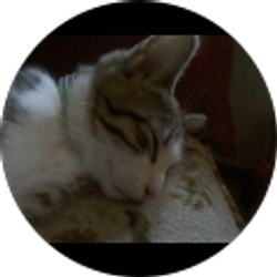 Profile photo of Antoinette Brown