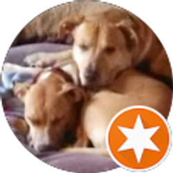 Profile photo of Christopher Raab