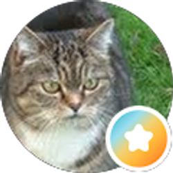 Profile photo of Mars Green