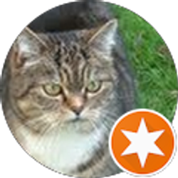 Profile photo of Mars Green