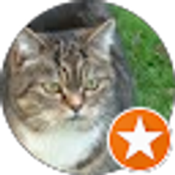 Profile photo of Mars Green