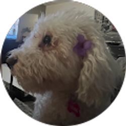Profile photo of adriana