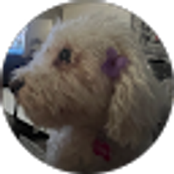 Profile photo of adriana