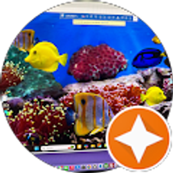 Profile photo of Mo San