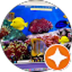 Profile photo of Mo San