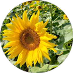 Profile photo of G. Bryant