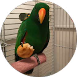 Profile photo of Brian Essen