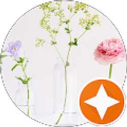 Profile photo of Susan Kolon