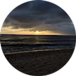 Profile photo of Brendan O'Mara