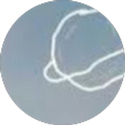 Profile photo of Jessica Saldivar