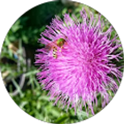 Profile photo of Penny Gilarski