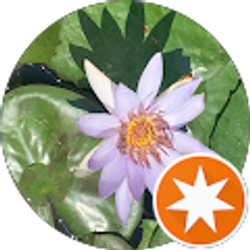 Profile photo of b w