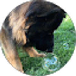 Profile photo of Alicia Fondtain