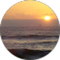 Profile photo of Brenda Esch