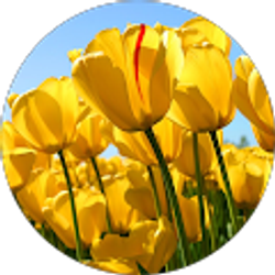 Profile photo of Jayde John