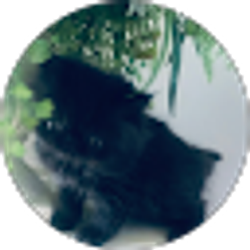 Profile photo of BlackSun LLC