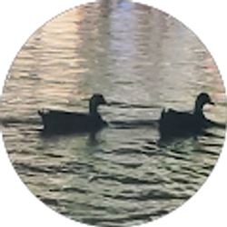 Profile photo of Maria Medvedeva