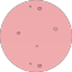 Profile photo of Valerie Moreno