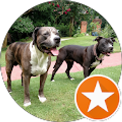 Profile photo of janice koehler