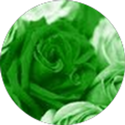 Profile photo of Younes Hindi