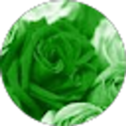 Profile photo of Younes Hindi