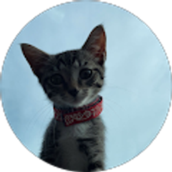 Profile photo of devon taylor