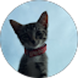 Profile photo of devon taylor