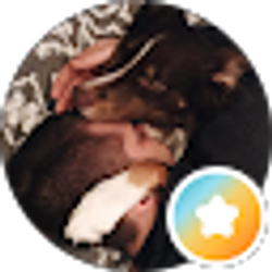 Profile photo of Colin Vanburen
