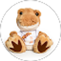 Profile photo of Cody코디