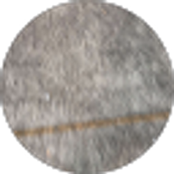 Profile photo of Jayshi Sloan