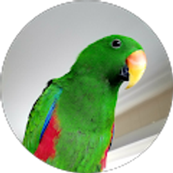 Profile photo of Gary Durham