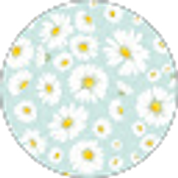 Profile photo of Jamal Guillory