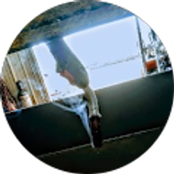 Profile photo of Toby Brady