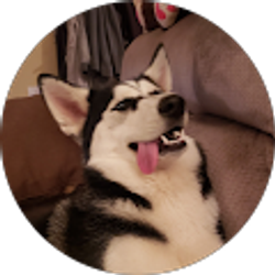 Profile photo of Trae Bailey