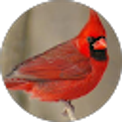 Profile photo of Susan Jowers