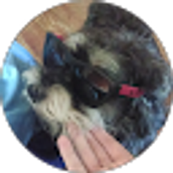 Profile photo of Alex Terry